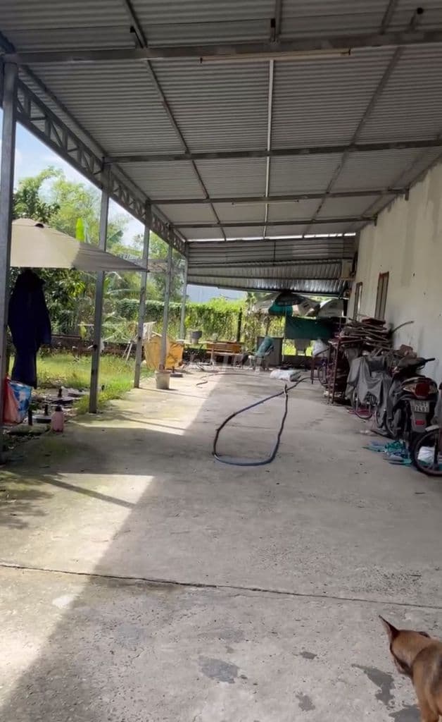 Nhà ở 600m² tại Xóm Huế, Tân An Hội, TP.HCM giá 7 tỷ đồng - Ảnh 2
