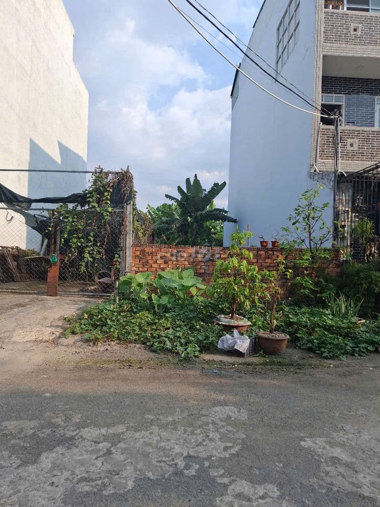 ✅BÁN 90M ĐẤT 5M X 18M SỔ HỒNG RIÊNG 1/TÔ KÝ , TRUNG CHÁNH , HÓC MÔN - Ảnh 2