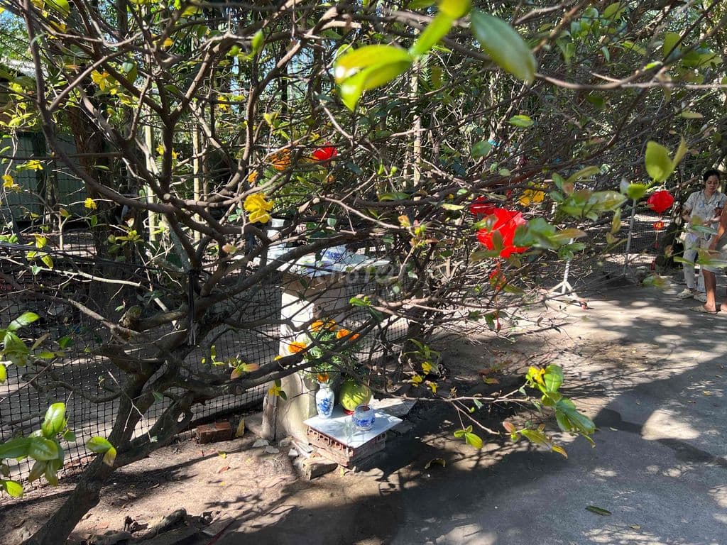 Đất thổ cư - Ảnh 3