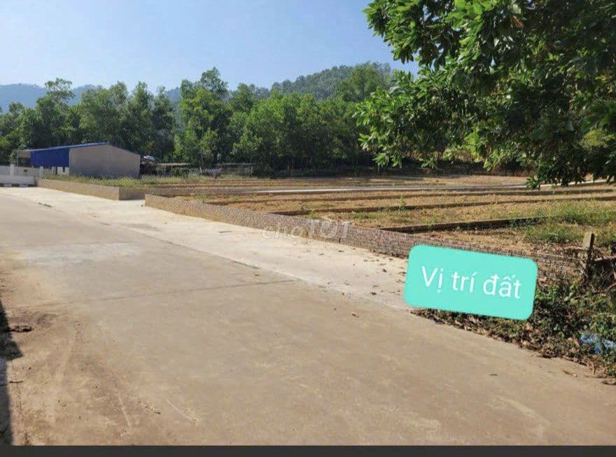 BÁN LÔ ĐẤT XÃ TRUNG GIÃ - Ảnh 3