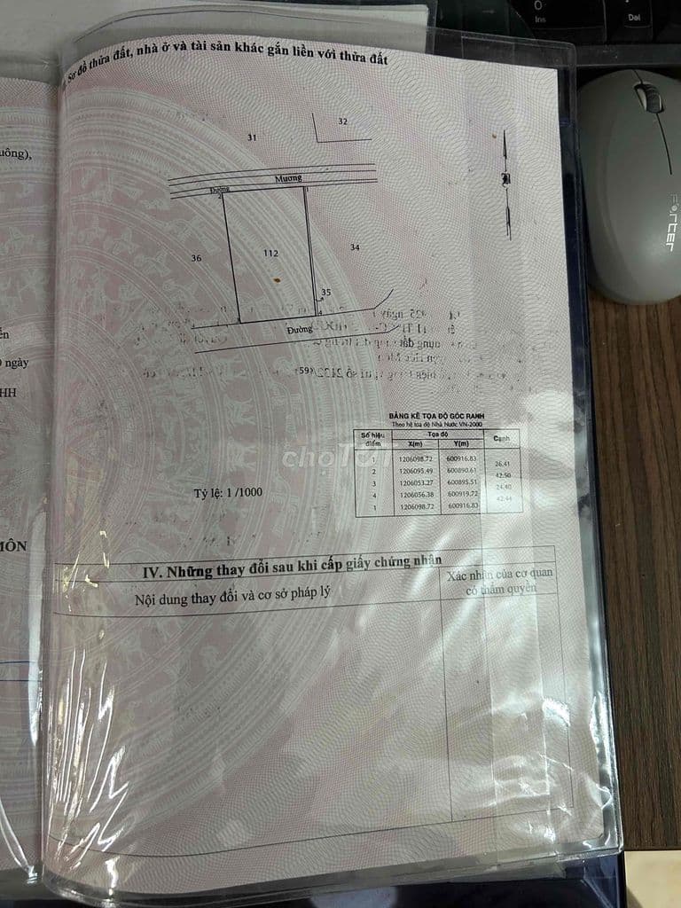 bán đát vườn - Ảnh 2