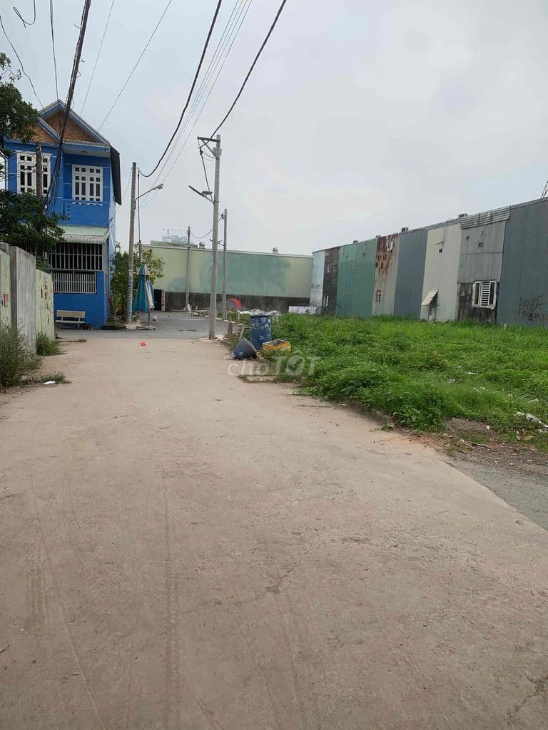 Đất bán khu phân lô mới đường T15 an phú đông quận 12 - Ảnh 2