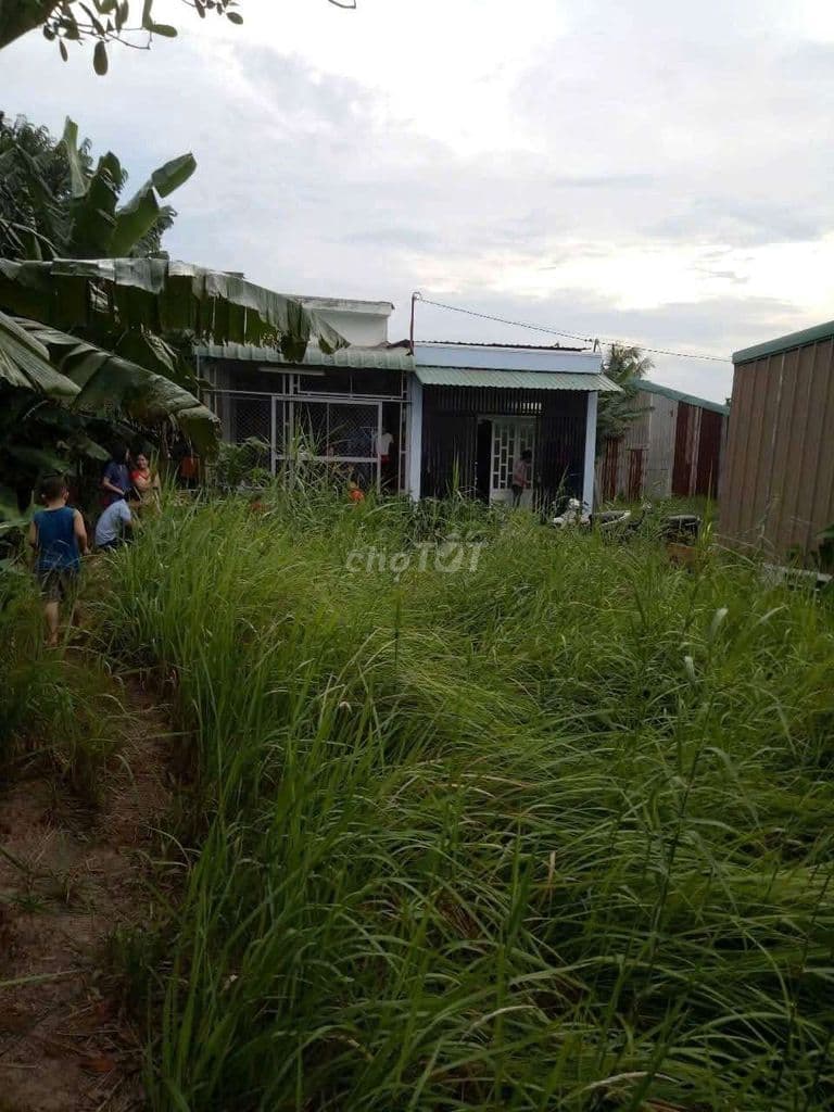 Mình câng bán gấp đất - Ảnh 2