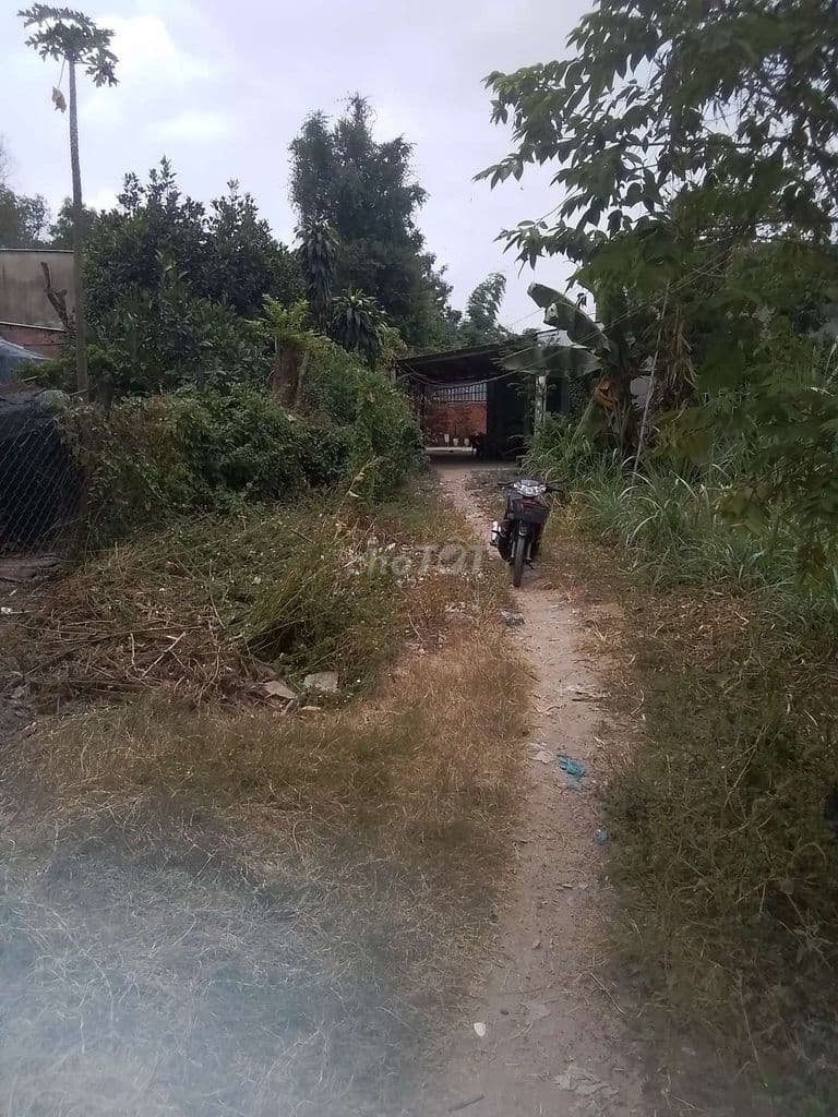 Bán đất xã trung an, huyện củ chi - Ảnh 2