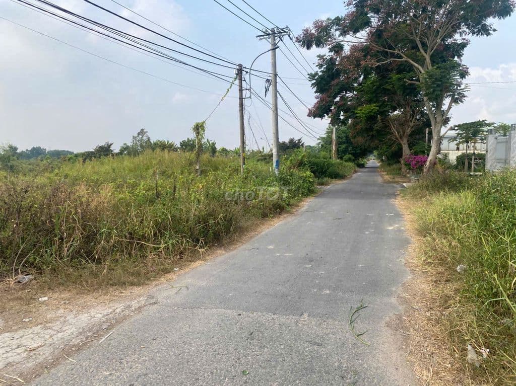 ĐẤT 3540m2 1480m2 thổ cư- TÂN THẠNH ĐÔNG - CỦ CHI - Ảnh 3