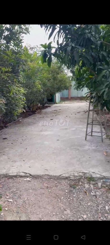 BÁN NHÀ VƯỜN 1500M NHÀ BÈ - Ảnh 2