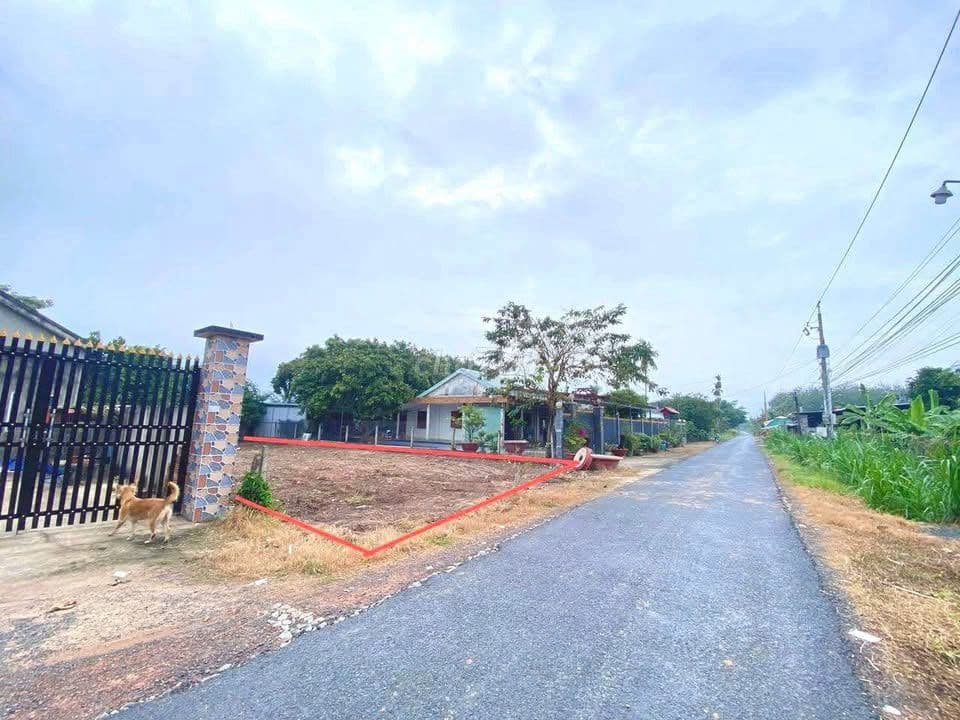 CHÚ 5 GỬI LÔ ĐẤT Ở THÁI MỸ - 100M2 - GIÁ 750TR - 1/ TINH LỘ 7 - SỔ SẴN - Ảnh 3