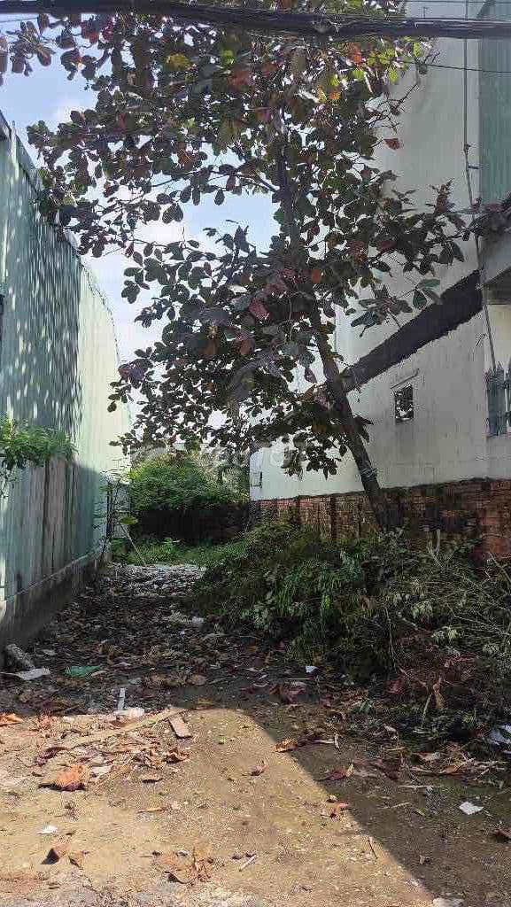 🏕️Đất FULL THỔ CƯ Đường VÕ THỊ THỪA