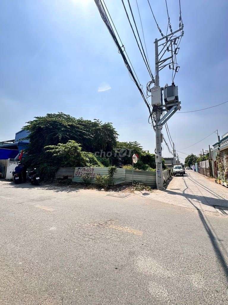 🔥 ĐẤT MẶT TIỀN AN PHÚ ĐÔNG 25 – 309m² FULL THỔ – GIÁ 12.6 TỶ 🔥 - Ảnh 3