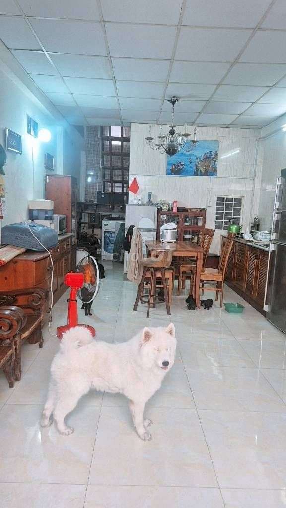 Bán Nhà cấp4, Hẻm 3m Gần HxH, Gần D Q Hàm* 46m2+Gác Xuốt* Hơn 4 tỷ xíu - Ảnh 3