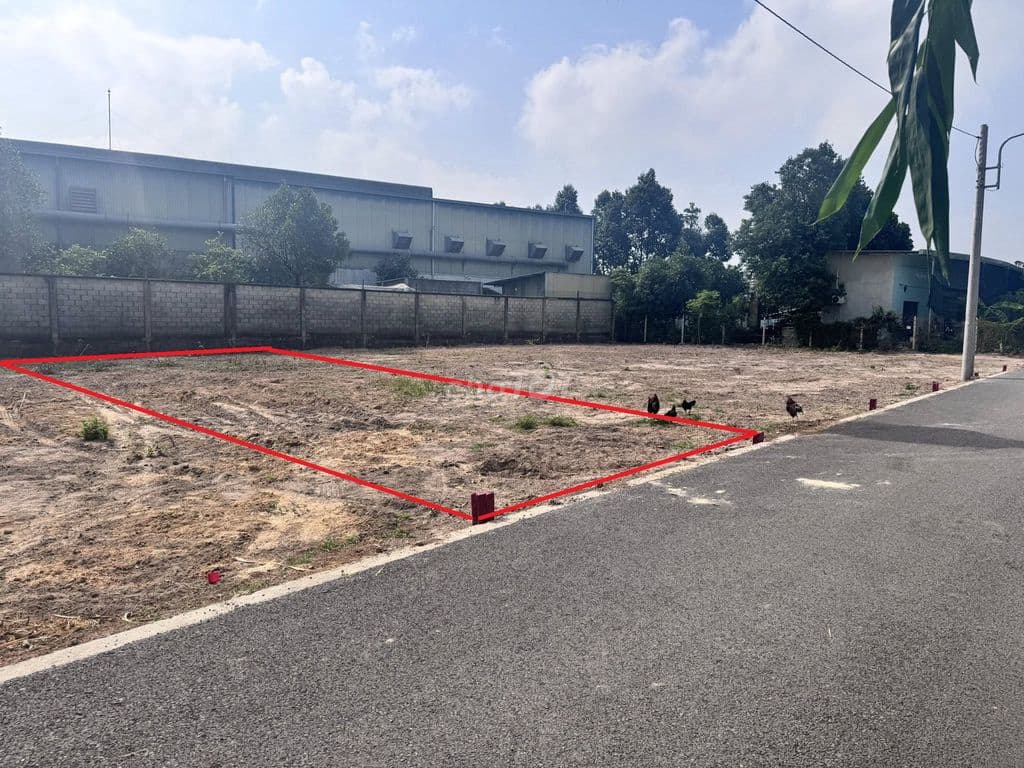 Đất 162,5m2 full thổ cư 1,4 tỷ ngay Cầu Vượt Củ Chi. SHR xây dựng được