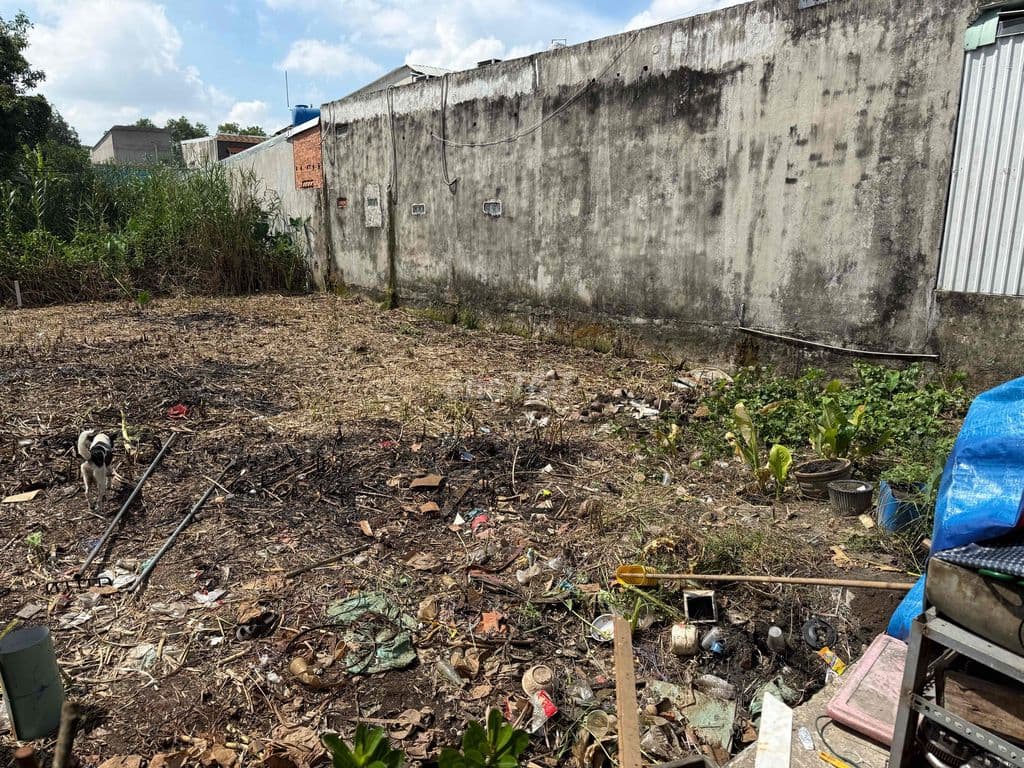 Bán đất Tân Vĩnh Lộc 15x20m, 200m² thổ cư, gần KDC An Hạ. - Ảnh 2