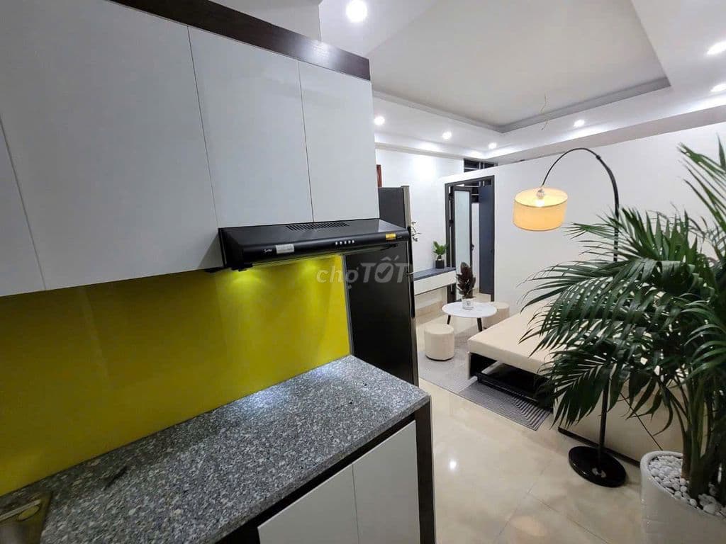Bán gấp căn hộ mini phố Vũ Tông Phan. Giá 1 tỉ 350 triệu. - Ảnh 3