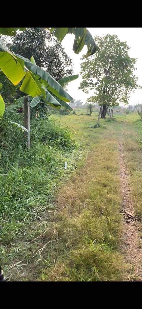 Bán đất đường Kinh Trung Ương - Ảnh 3