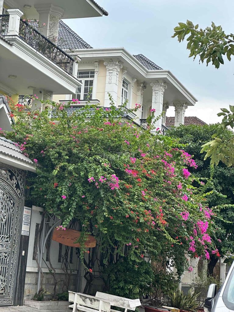 Chủ bán gấp căn biệt thư đơn lập 15x16 giá 29ty Đặng thuỳ trâm - Ảnh 3