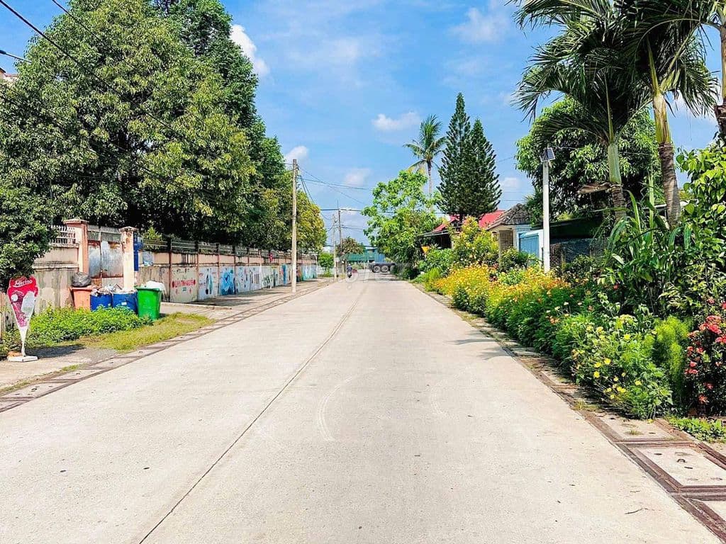Đất Đ. Cao Thị Bèo, Tân An Hội, Củ Chi. 110m2/ 1,1 tỷ. SHR - Ảnh 2