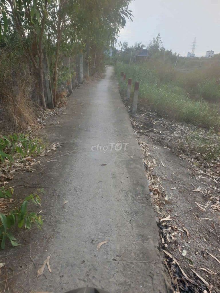 Bán 144m đất thổ cư ngay trường cấp 1,2,3 Bình Khánh vào 300m, 1,7 tỷ - Ảnh 3