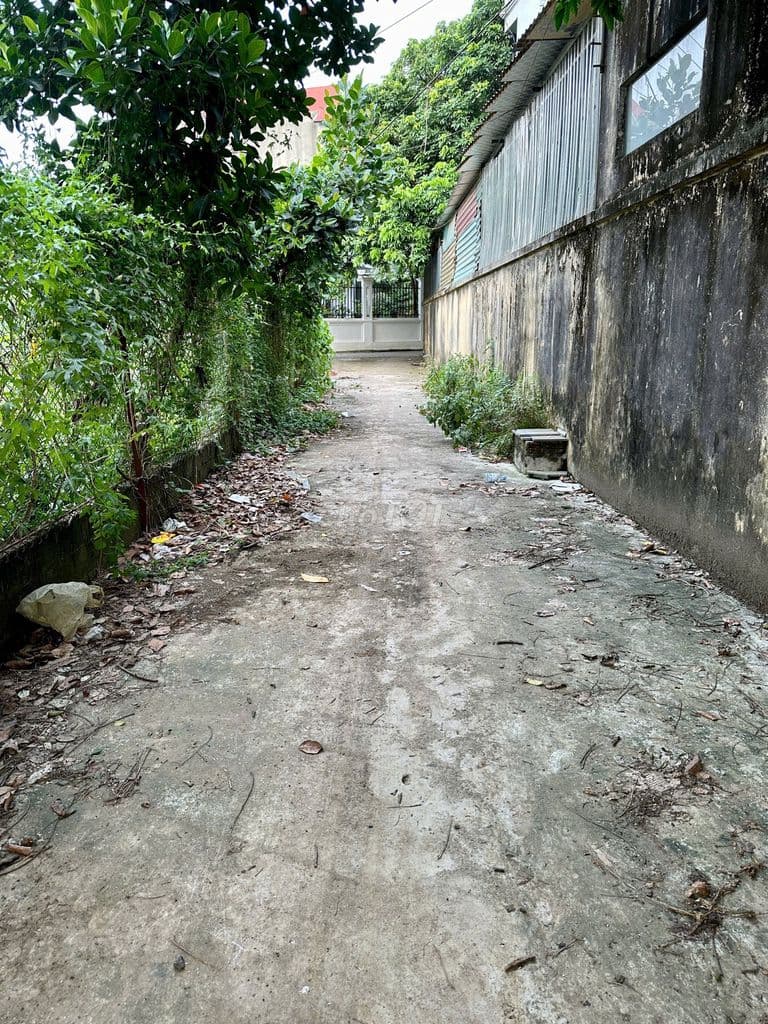 Bán 131m2 đất Đồi 1, Đông Phương Yên, Chương Mỹ - Cách QL6 chỉ 100m - Ảnh 2