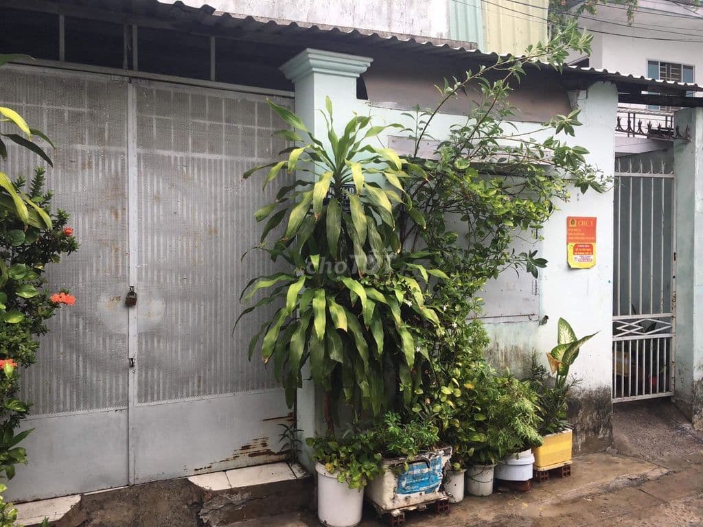 HẺM Ô TÔ BÌNH TÂN- ĐƯỜNG SỐ 1- DT KHỦNG 162M2- BHH- BÌNH TÂN, CHỈ 6.9T - Ảnh 2