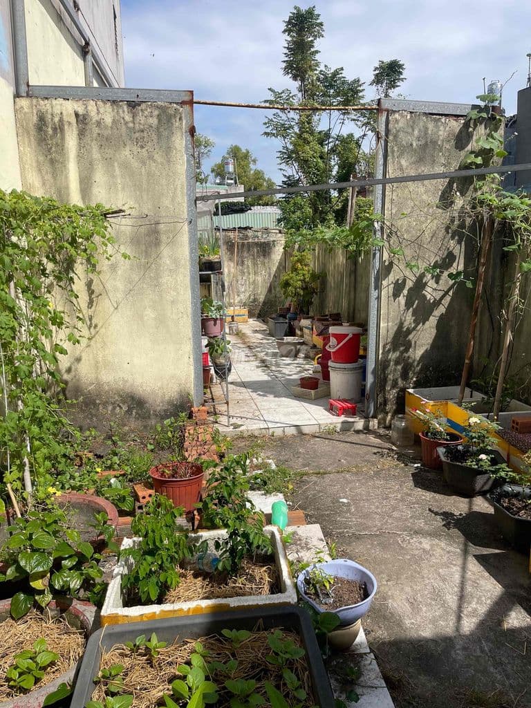 bán đất Tân Hiệp đường 4/3 tân hiệp - Ảnh 2