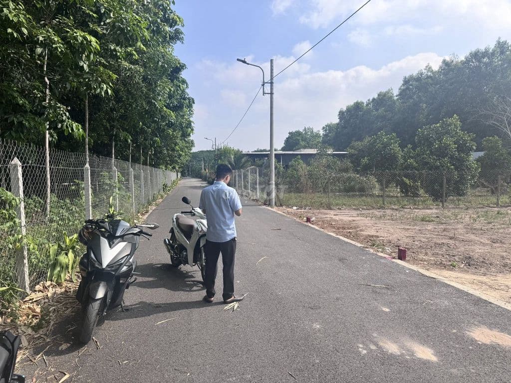 Đất 162,5m2 full thổ cư 1,4 tỷ ngay Cầu Vượt Củ Chi. SHR xây dựng được - Ảnh 3