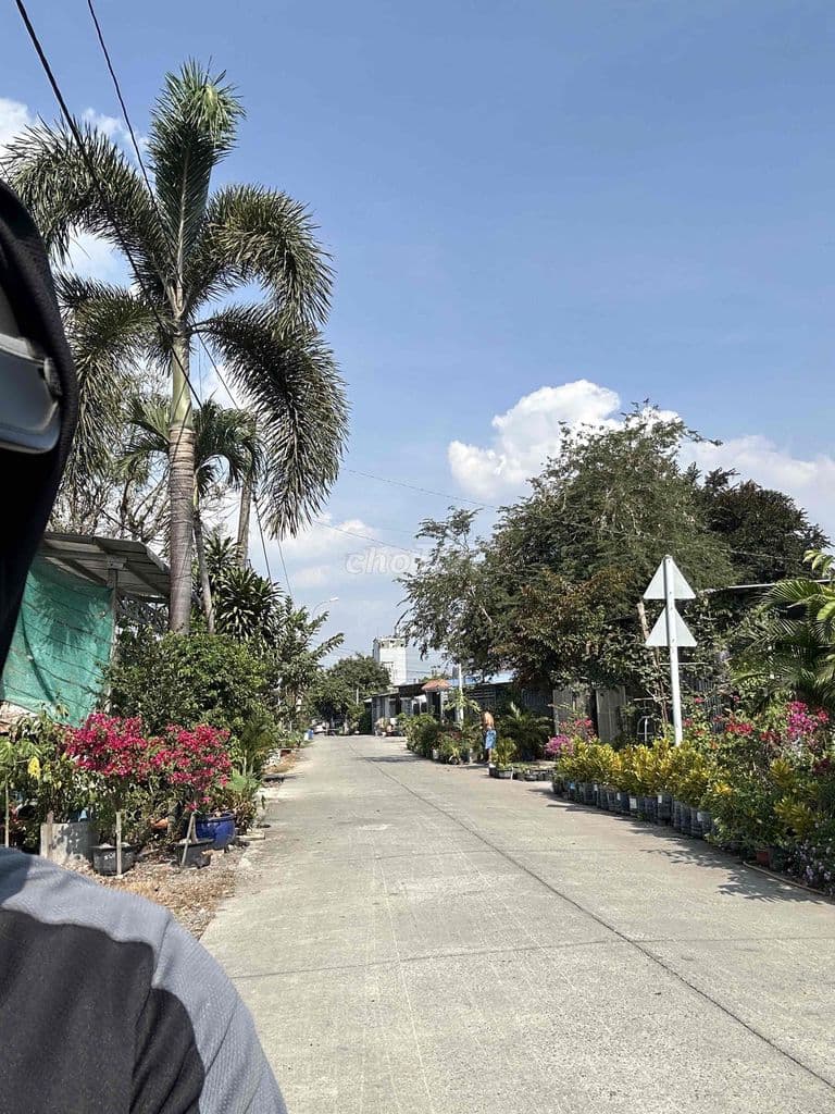 CHỦ VỀ BẮC BÁN GIÚP CHỦ LÔ ĐẤT ĐƯỜNG TRUNG LẬP - Ảnh 3