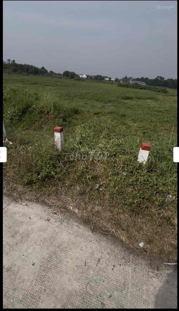 đất trồng cây hằng năm khác Củ Chi ( ngã 4 Tân Quy )