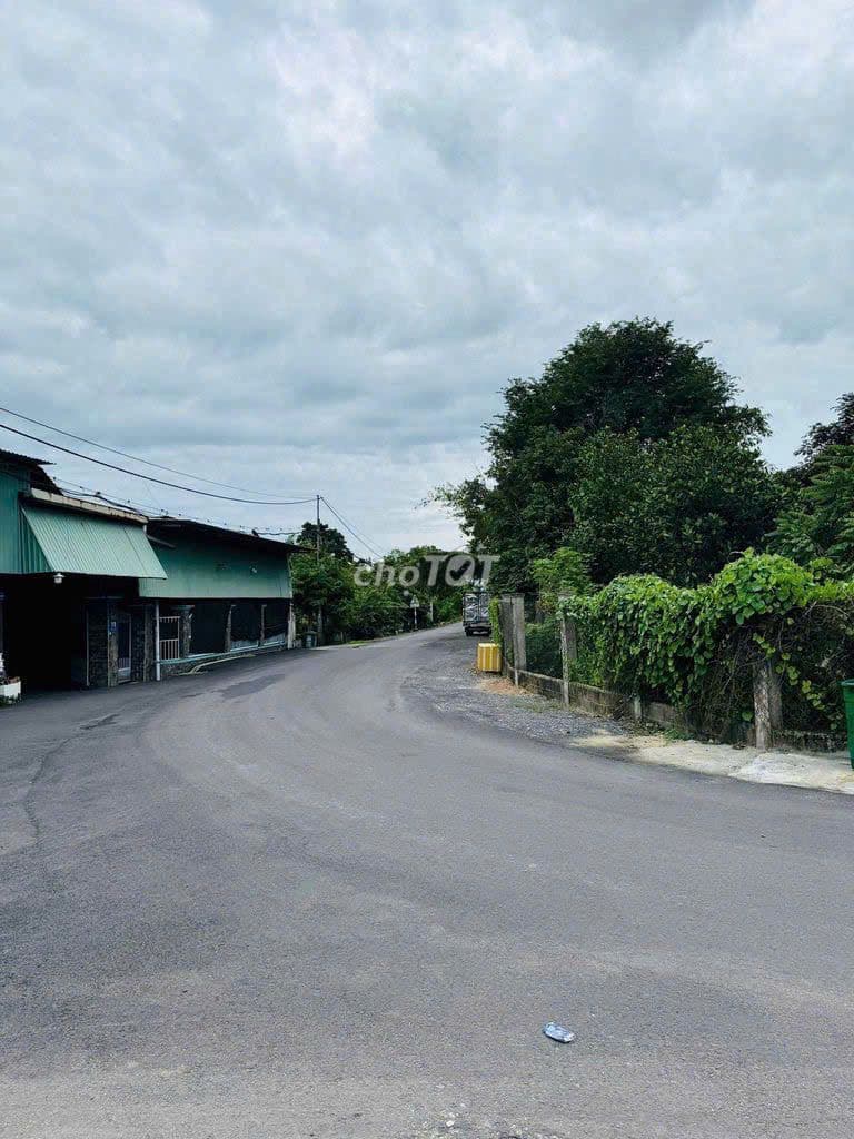 MT đường nhựa Tân Phú Trung 354m2 full thổ giá 780tr còn thương lượng - Ảnh 3