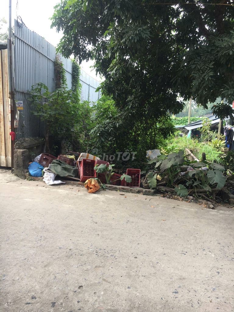 43m2 đất Đông Mỹ, ngõ thông ô tô tránh, mặt tiền 4.8m, giá 3.1 tỷ - Ảnh 3