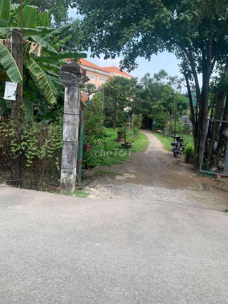 Bán đất đường số Nguyễn Duy Trinh - Tp.Thủ Đức. DT 645m2 - Ảnh 3