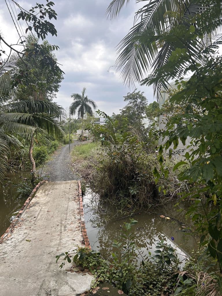 Cần bán đất mặt tiền đường T2, đã có sổ, còn thương lượng - Ảnh 2