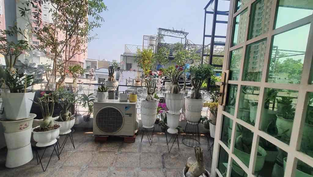 * Diện tích: ~3.6 x 11.5m (công nhận ~40–42m²) * Kết cấu: 2 tầng + sân - Ảnh 3