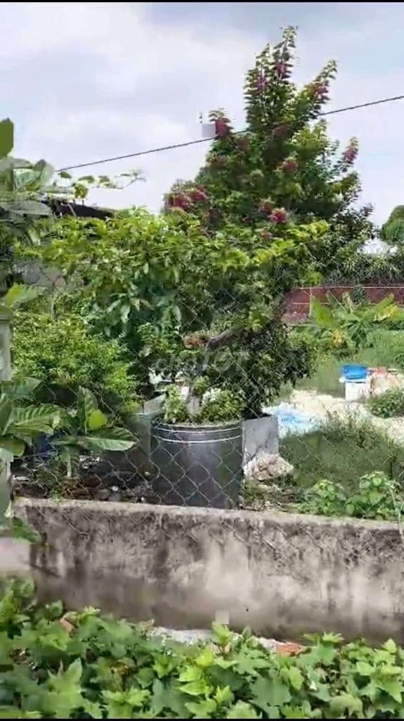 632 m2 👉 Đất Có Thổ Cư, gần Chợ Đông Thạnh