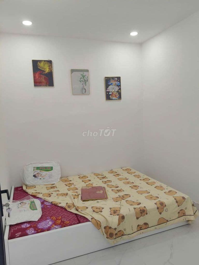 42m2 Sổ Hồng Riêng nhà đẹp Hẻm Thông full nội thất chỉ 2ty6 - Ảnh 3