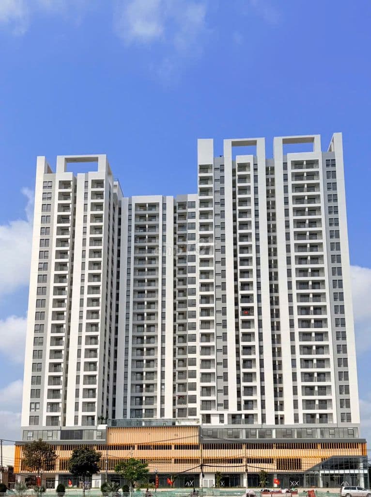 Giỏ hàng độc quyền T4/2026 - Căn Hộ Aurora Bình Đông, giá từ 2,5 tỷ