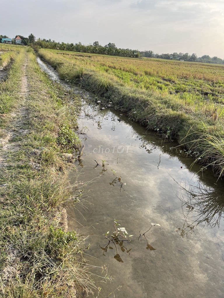 Ngộp bán rẻ lô đất hẻm chính chủ 2.940m² thuộc Tân Nhựt, Bình Chánh - Ảnh 2