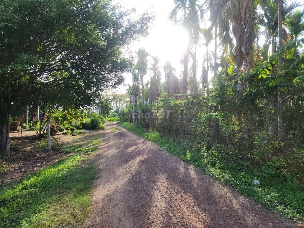 MT đường xe tải 1 sẹc ngắn đường An Nhơn Tây, DT 1600 m2, có 215m thổ - Ảnh 2