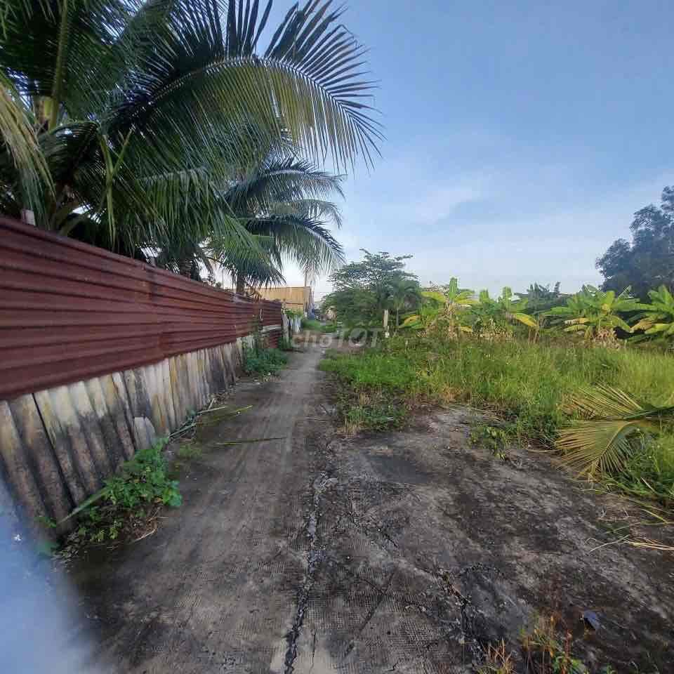 Chính chủ bán đất 4x12m=48m2, cách ubnd vĩnh lộc b 1km - Ảnh 3