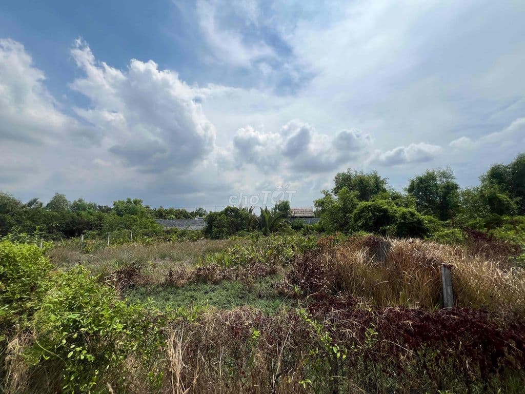 CHÍNH CHỦ BÁN LÔ ĐẤT VIEW SÔNG 1400m2 - Ảnh 2