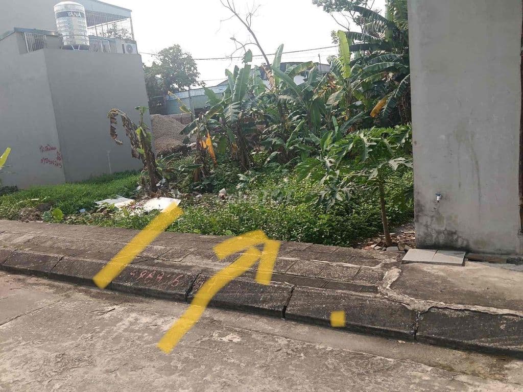 Đấu Giá-Biên Giang-Chương Mỹ - Ảnh 3