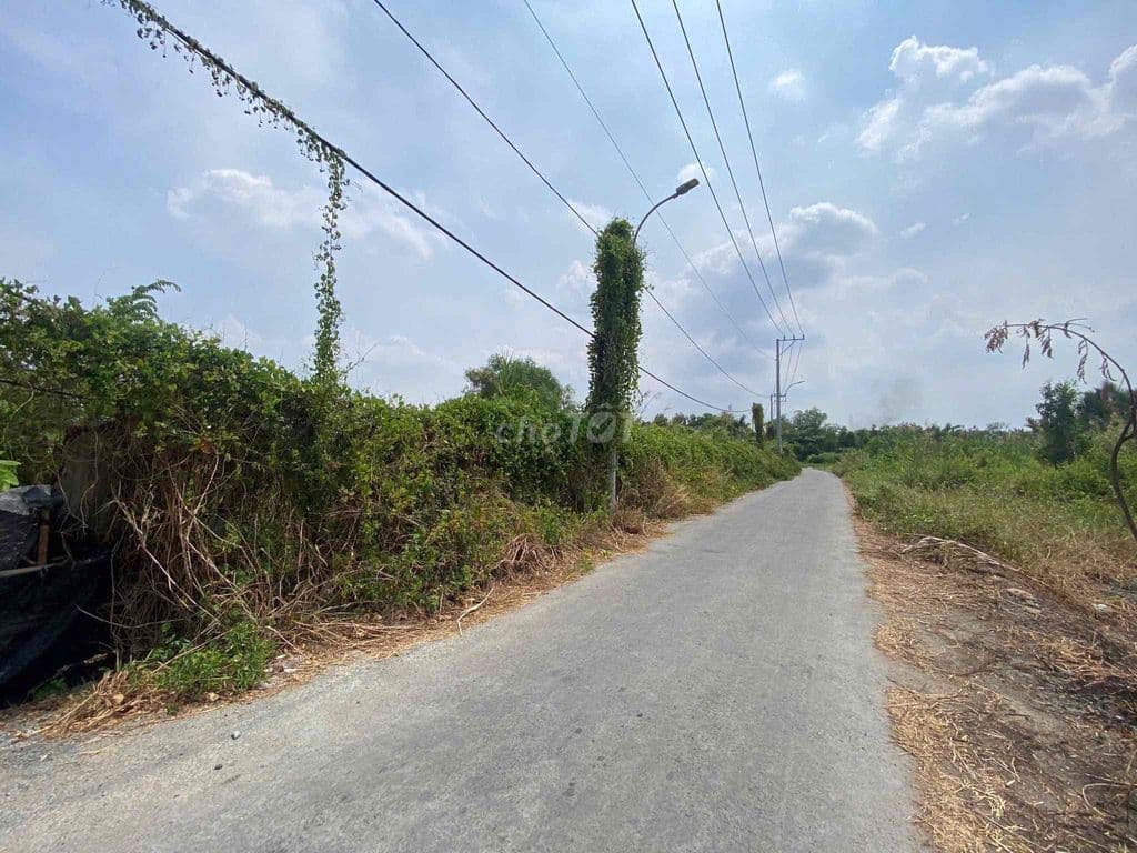 🔥 KẸT TIỀN BÁN NHANH 404m² ĐẤT PHONG PHÚ - BÌNH CHÁNH 🔥