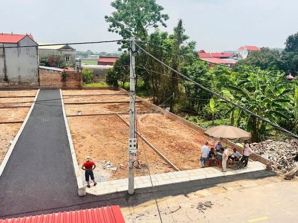 bán đất Phù Linh 81m2 giá 2 tỷ - Ảnh 3