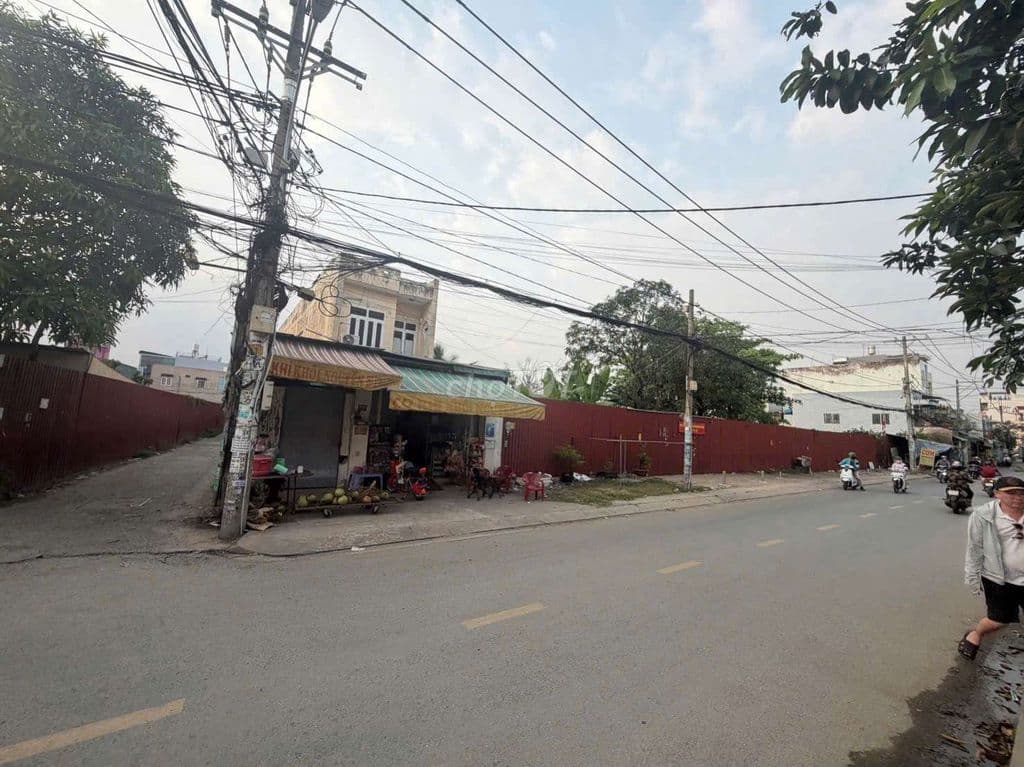Đất hẻm 8m đường Nguyễn Văn Cự (Tỉnh Lộ 10- Cầu Kinh) 244m2 7tỷ 400 tr - Ảnh 3