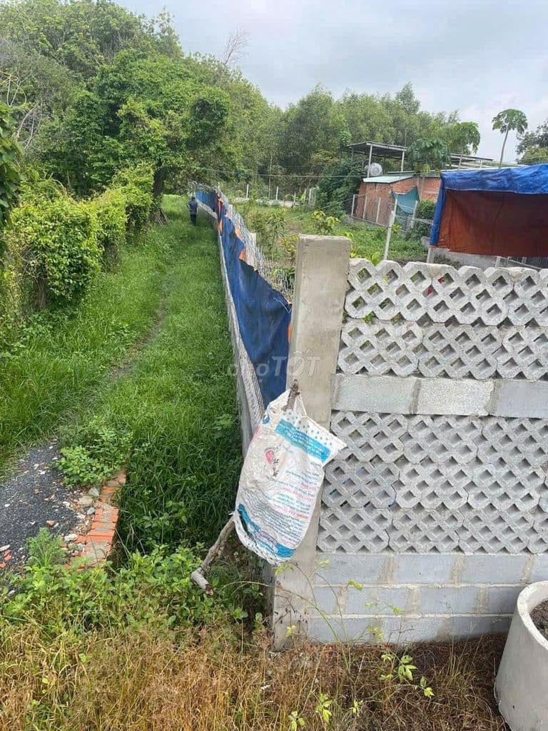 Bán nhà vườn nghỉ dưỡng, 584m2, xã Tân Thông Hội, SHR, 1 tỷ 395 - Ảnh 2