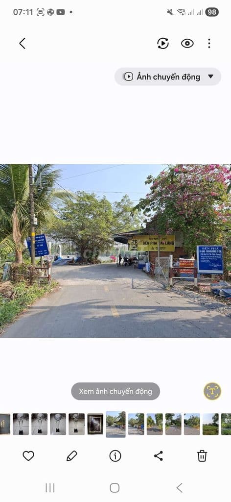 Bán 4.181m2 đất trồng cây lâu năm trên đường cá lăng, phú hòađông 5 tỷ - Ảnh 3