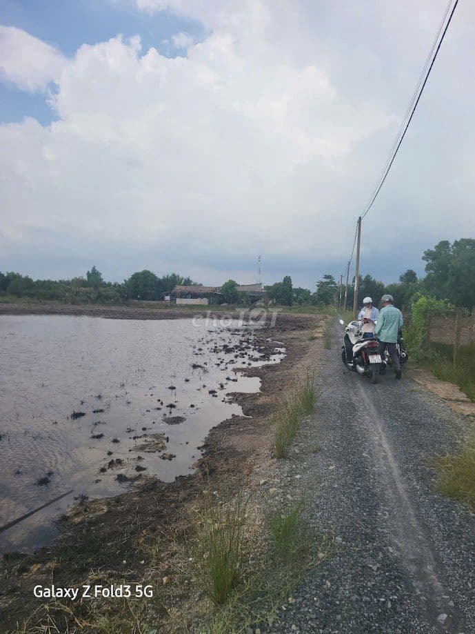 Bán đất Bình Khánh Cần Giờ, mặt tiền đường đá xanh, đất đẹp nở hậu. - Ảnh 3