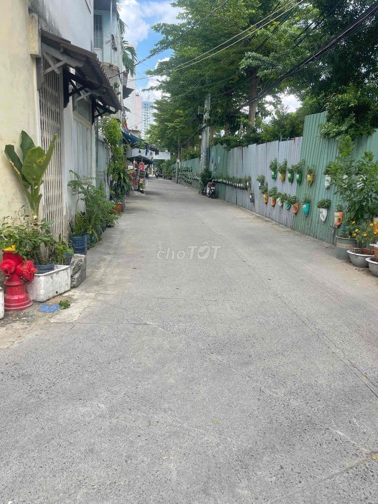 chín chủ - Ảnh 3