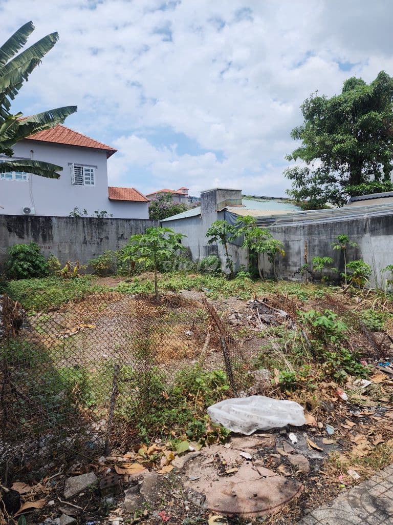 ĐẤT BIỆT THỰ: 10 X 20m, MT ĐƯỜNG NHƯA 668 QL13 - Ảnh 2