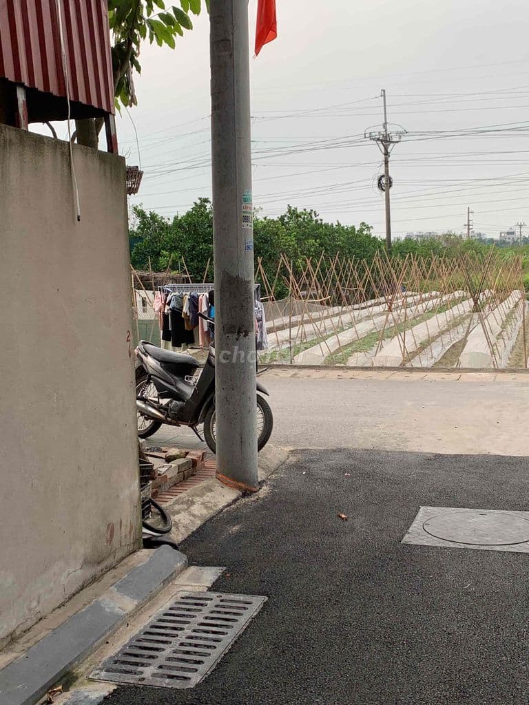 Đất nguyên Khê giá rẻ bèo nhất chỉ 40 hơn thổ cư hết sát đường 3 - Ảnh 3