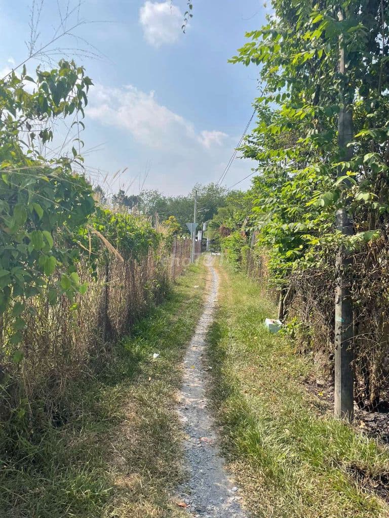 Chính chủ cần bán đất thổ cư phú hòa đông